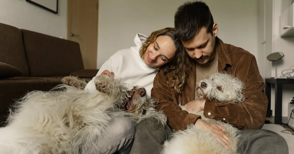 Aliexpress - Mascotas por menos de 20 euros