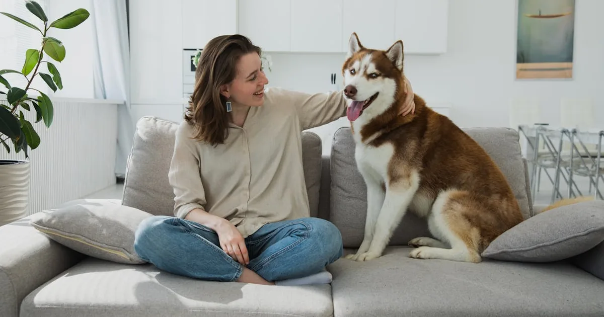El Corte Ingles vs Zalando - Mascotas