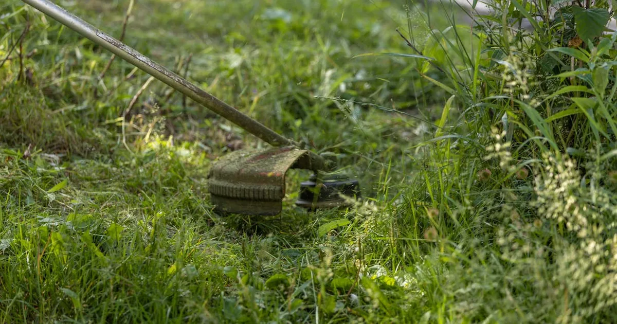 Fnac - Jardineria por 50-150 euros