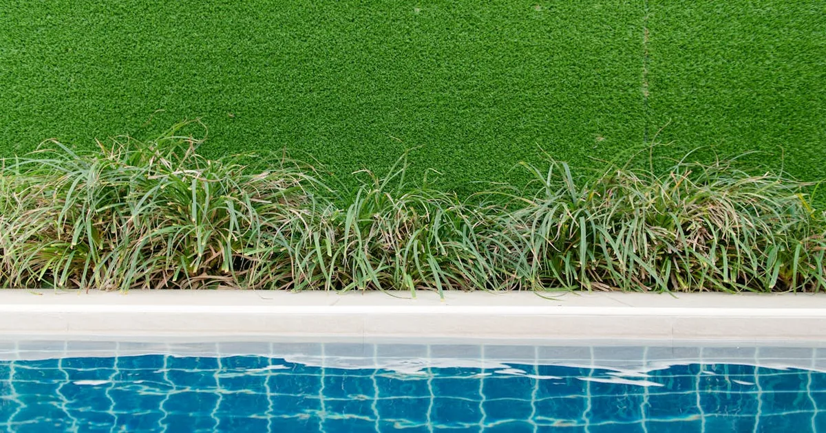 Miravia - Jardineria por 50-150 euros